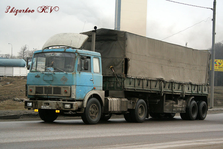 MAZ5432_03.jpg