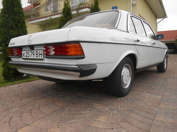 w1233.jpg