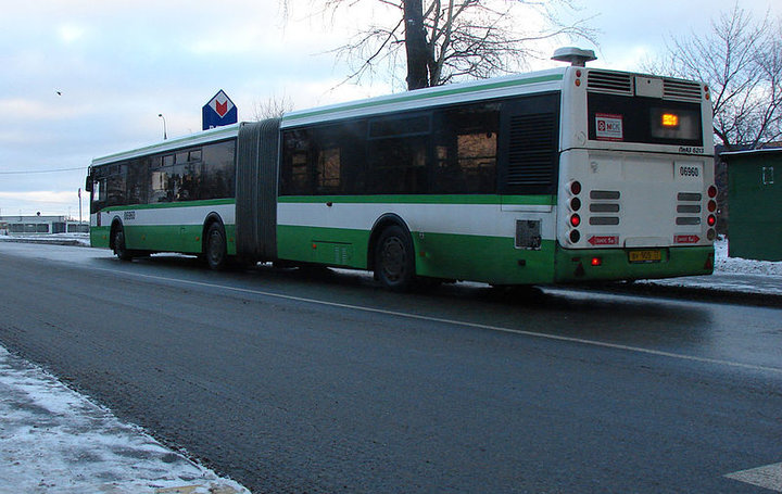 Liaz6213_3.jpg