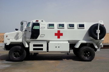 Shrek_One_Ambulance_03.jpg