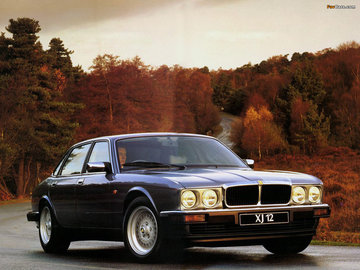 jaguar-xj-xj40xj81-[4185].jpg