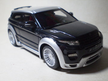 RR Hamann2.jpg