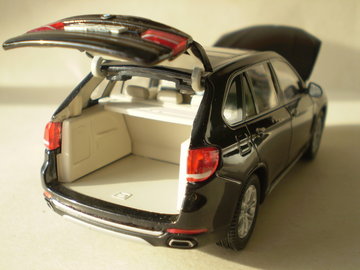 BMW X5-8.jpg