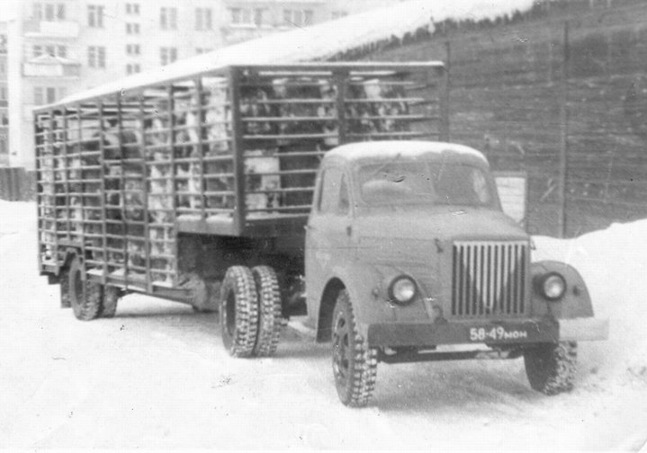 GAZ51P_U44_1.jpg