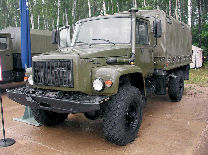 GAZ33081_4.jpg