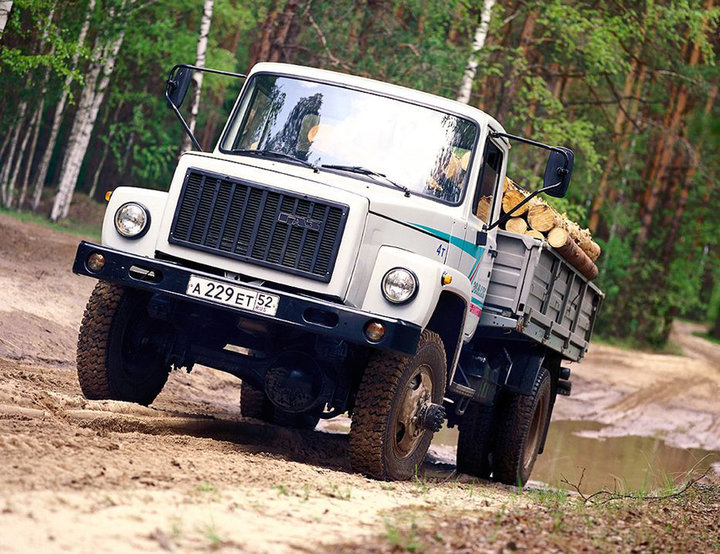 GAZ33085_1.jpg