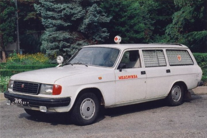 GAZ31023_2.jpg