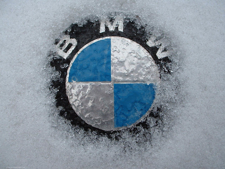 Emblema-BMW-v-snegy-1242.jpg